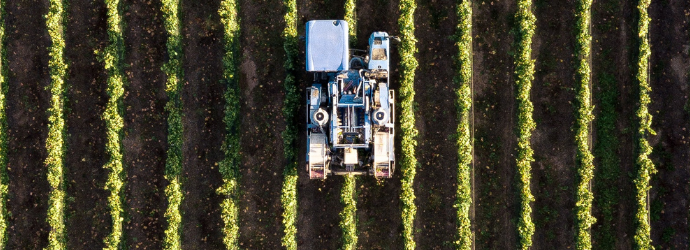 Il Glifosato può provocare il linfoma non Hodgkin, ecco la sentenza epocale