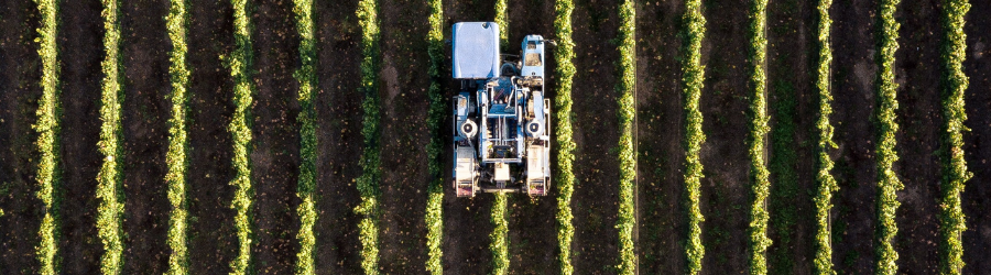 Il Glifosato può provocare il linfoma non Hodgkin, ecco la sentenza epocale