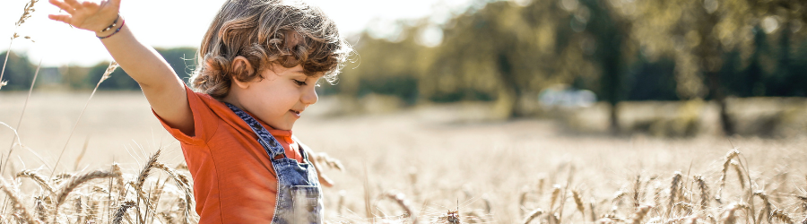 Glifosato nella pasta, ci dobbiamo spaventare?