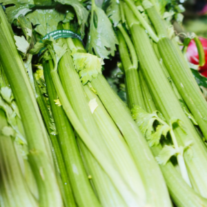 sedano proprietà verdura di agosto