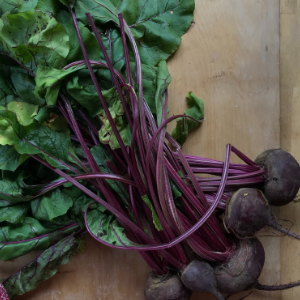 barbabietole verdura settembre