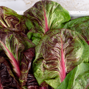 bietole verdura settembre bieta