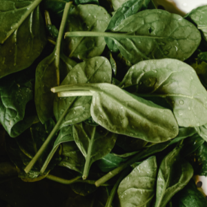 spinaci verdura settembre