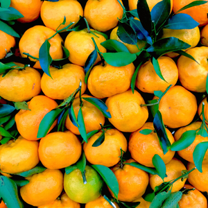 arance frutta di novembre proprietà benefici