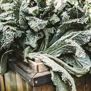 verdura di stagione a novembre raffreddore e influenza cavolo nero