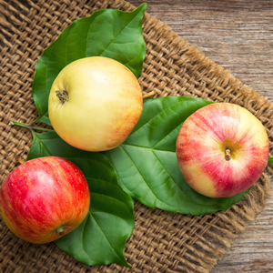 mele frutta di stagione di gennaio dimagrire